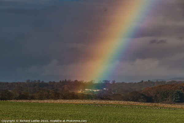 Vivid Rainbows End, East Shaws, Westwick, Teesdale Picture Board by Richard Laidler