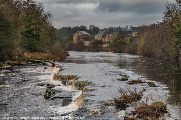 The River Tees from Demesnes Mill Barnard Castle Picture Board by Richard Laidler