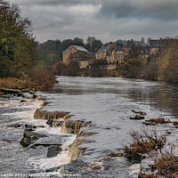 Buy canvas prints of The River Tees from Demesnes Mill Barnard Castle by Richard Laidler