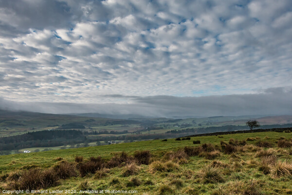 Mackerel Sky over Upper Teesdale Picture Board by Richard Laidler