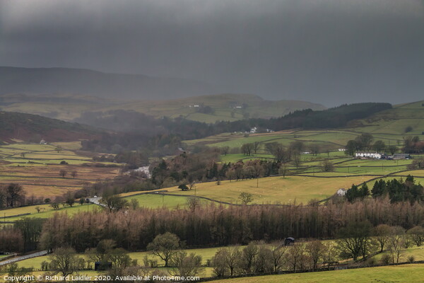 Bright and Damp Upper Teesdale 1 Picture Board by Richard Laidler