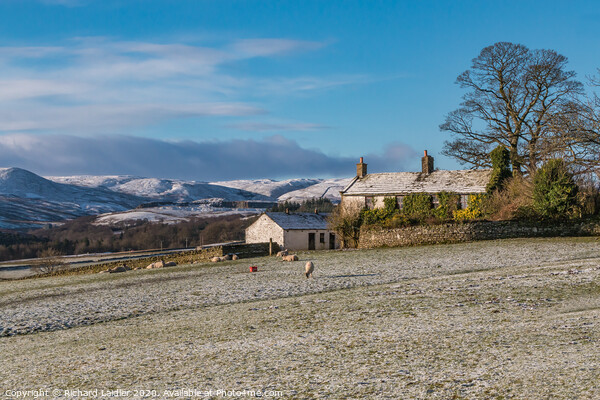 Snow Covered Cronkley Fell from Ash Hill 2 Picture Board by Richard Laidler