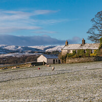 Buy canvas prints of Snow Covered Cronkley Fell from Ash Hill 2 by Richard Laidler