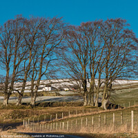 Buy canvas prints of Ash Dub Farm from Dirt Pit, Ettersgill, Teesdale by Richard Laidler