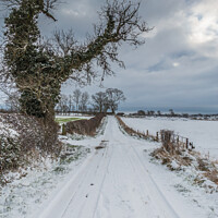 Buy canvas prints of Towards Hutton Magna from Van Farm in snow by Richard Laidler