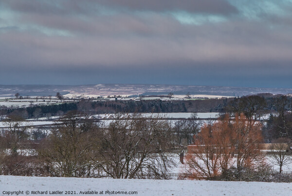 A Bright Patch in the Snowy Landscape Picture Board by Richard Laidler