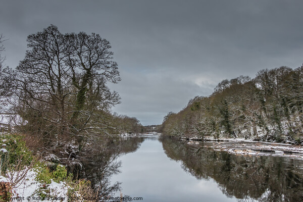 Winter Reflections in the River Tees at Wycliffe Picture Board by Richard Laidler
