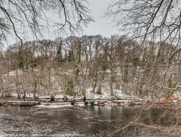 A Wintry River Tees at Whorlton Picture Board by Richard Laidler