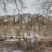 Buy canvas prints of A Wintry River Tees at Whorlton by Richard Laidler