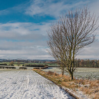 Buy canvas prints of Winter Farmland, Lower Teesdale by Richard Laidler
