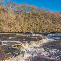 Buy canvas prints of January Sun on Whorlton Cascades, Teesdale by Richard Laidler