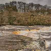 Buy canvas prints of The River Tees in Spate at Whorlton by Richard Laidler