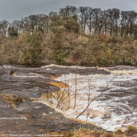 Buy canvas prints of The River Tees in Full Flood at Whorlton (2) by Richard Laidler