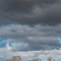 Buy canvas prints of Bare Ash Trees under a Big Winter Sky by Richard Laidler