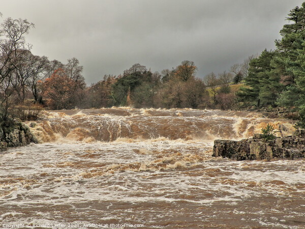 Low Force in Full Flood after Storm Desmond Picture Board by Richard Laidler