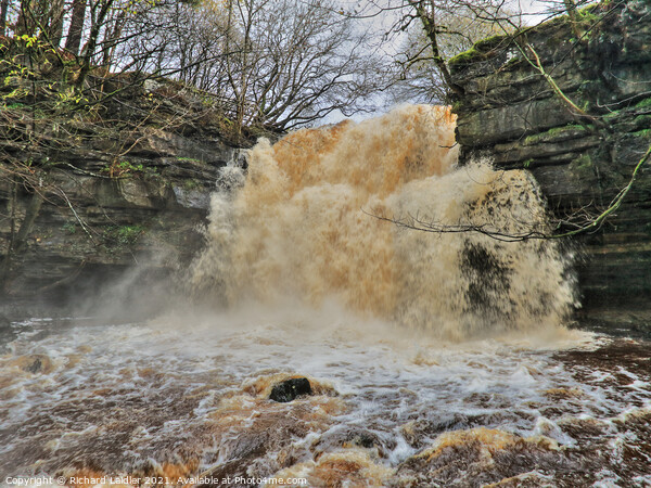 Summerhill Force Waterfall, Teesdale in Full Spate Picture Board by Richard Laidler