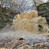 Buy canvas prints of Summerhill Force Waterfall, Teesdale in Full Spate by Richard Laidler