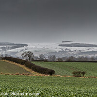 Buy canvas prints of Newsham Moor Wintry Panorama by Richard Laidler