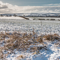 Buy canvas prints of Towards Newsham from Wycliffe in Winter by Richard Laidler