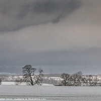 Buy canvas prints of Sunny Interval in the Snow by Richard Laidler