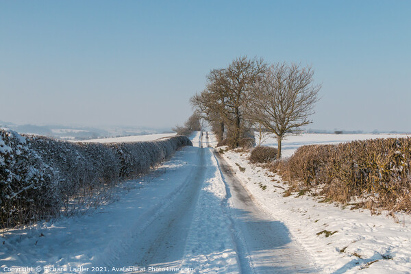 Towards Van Farm, Teesdale after the Blizzard Picture Board by Richard Laidler