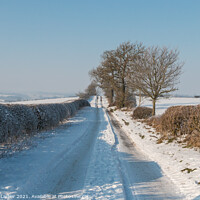 Buy canvas prints of Towards Van Farm, Teesdale after the Blizzard by Richard Laidler