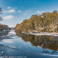 Buy canvas prints of Frozen Tees at Wycliffe by Richard Laidler