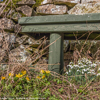 Buy canvas prints of Spring Benchmark by Richard Laidler