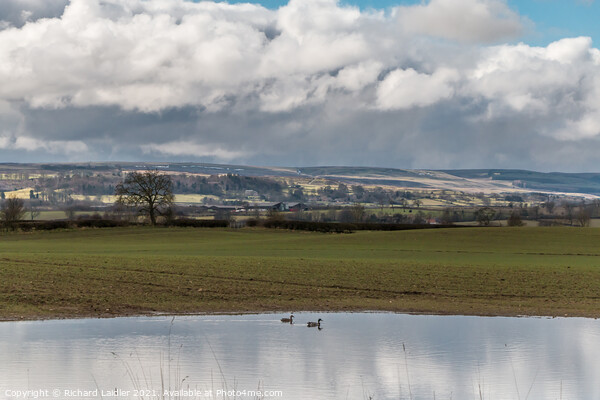 Over to Barningham in Early Spring Picture Board by Richard Laidler
