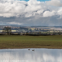 Buy canvas prints of Over to Barningham in Early Spring by Richard Laidler