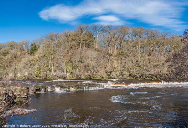 Whorlton Cascades in Early Spring Sunshine  Picture Board by Richard Laidler