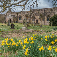 Buy canvas prints of Daffodils in St Marys Parish Churchyard, Wycliffe, Teesdale by Richard Laidler