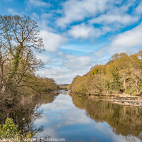 Buy canvas prints of Spring Reflections on the River Tees at Wycliffe by Richard Laidler