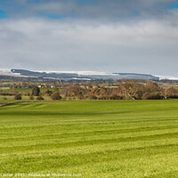 Buy canvas prints of Rolled Wheat and Fresh Snow by Richard Laidler