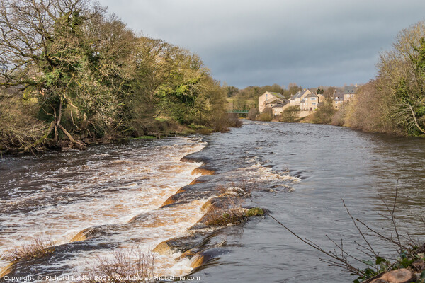 The River Tees at Demesnes Mill, Barnard Castle, T Picture Board by Richard Laidler