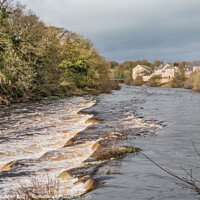 Buy canvas prints of The River Tees at Demesnes Mill, Barnard Castle, T by Richard Laidler