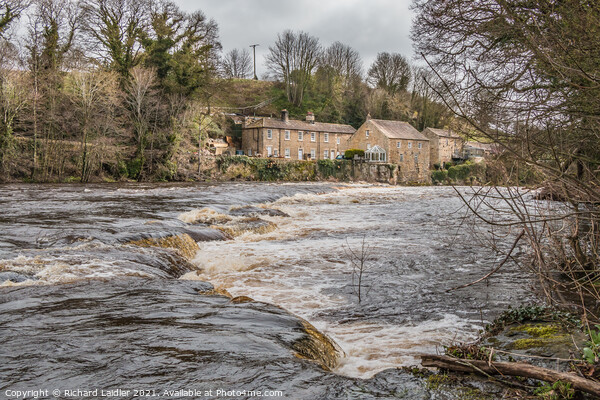 Demesnes Mill, Barnard Castle, Teesdale Picture Board by Richard Laidler
