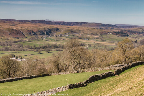 Over to Holwick, Teesdale in Spring (1) Picture Board by Richard Laidler