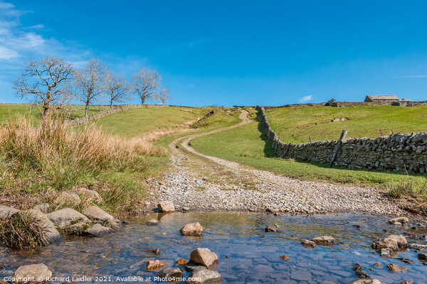 Track Over to Coldberry, Teesdale Picture Board by Richard Laidler