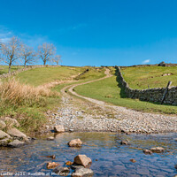 Buy canvas prints of Track Over to Coldberry, Teesdale by Richard Laidler