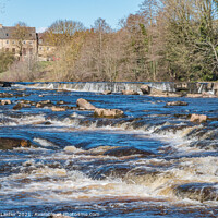 Buy canvas prints of The River Tees at Demesnes Mill, Barnard Castle, T by Richard Laidler