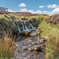 Buy canvas prints of Barningham Moor Beck and Waterfall by Richard Laidler