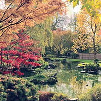 Buy canvas prints of japanese style garden  by Emma whipple