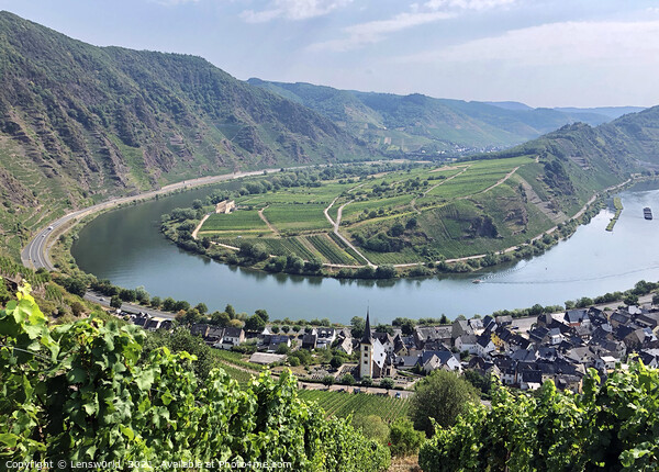 View over the bend of the river Moselle in Germany Picture Board by Lensw0rld 
