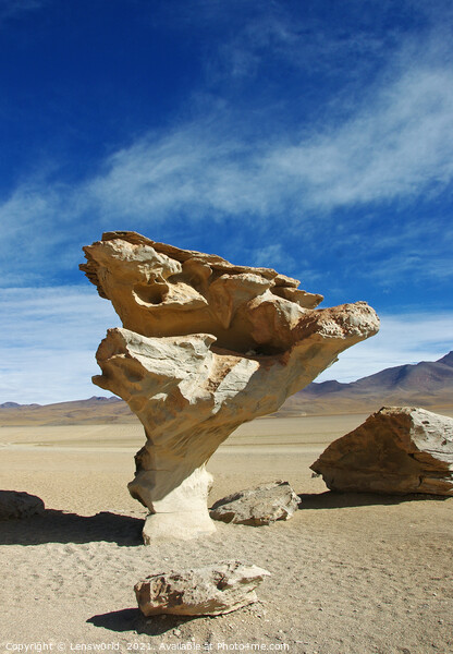 The gorgeous Stone Tree in Bolivia Picture Board by Lensw0rld 
