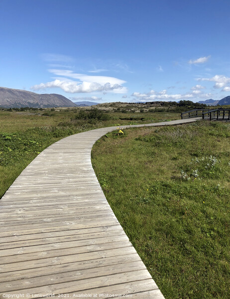 Footpath through Thingvellir, Iceland Picture Board by Lensw0rld 