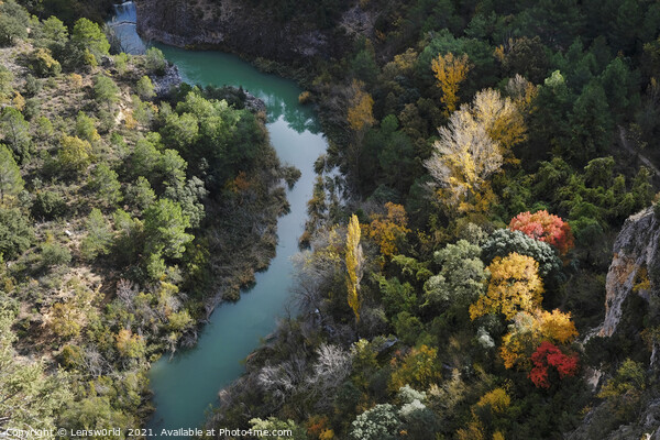 Colorful display of trees next to a river in fall season in Spain Picture Board by Lensw0rld 