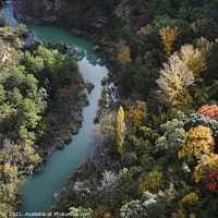 Buy canvas prints of Colorful display of trees next to a river in fall season in Spain by Lensw0rld 
