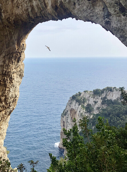 View through the Arco Naturale on Capri Picture Board by Lensw0rld 