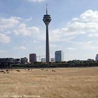 Buy canvas prints of Climate change - severe drought in Düsseldorf, Germany by Lensw0rld 